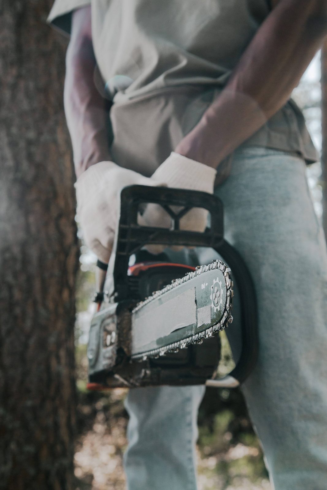 Close-up of a crew member's hands operating a chainsaw against a trunk