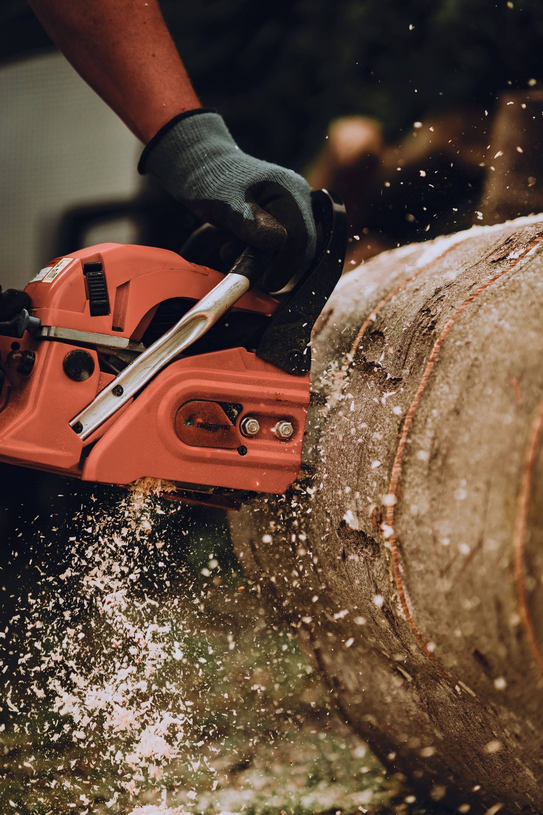 Close-up of a chainsaw cutting through a tree trunk, sawdust spraying