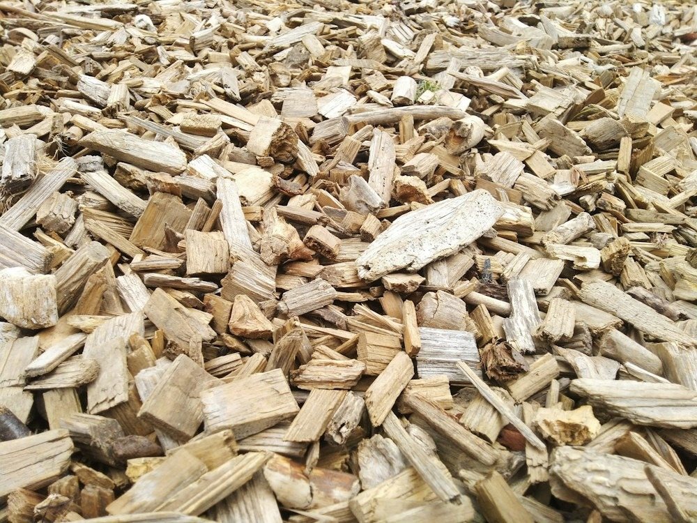 A close-up of fresh wood chips and stump grindings